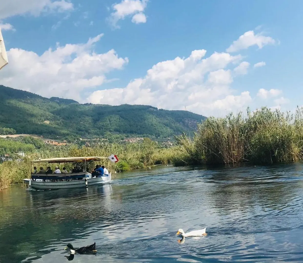 Hébergement de vacances Arzu Cottage Fethiye